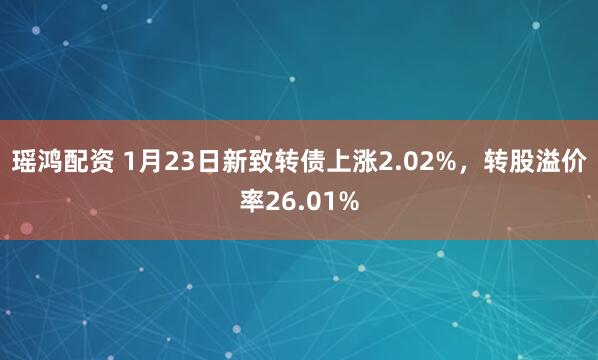 瑶鸿配资 1月23日新致转债上涨2.02%，转股溢价率26.01%