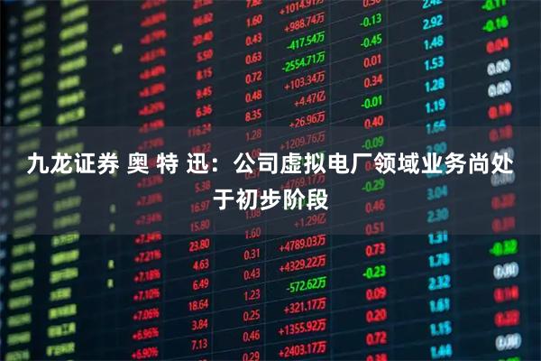 九龙证券 奥 特 迅：公司虚拟电厂领域业务尚处于初步阶段